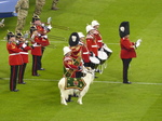 FZ025471 Welsh militairy band with goat mascot.jpg